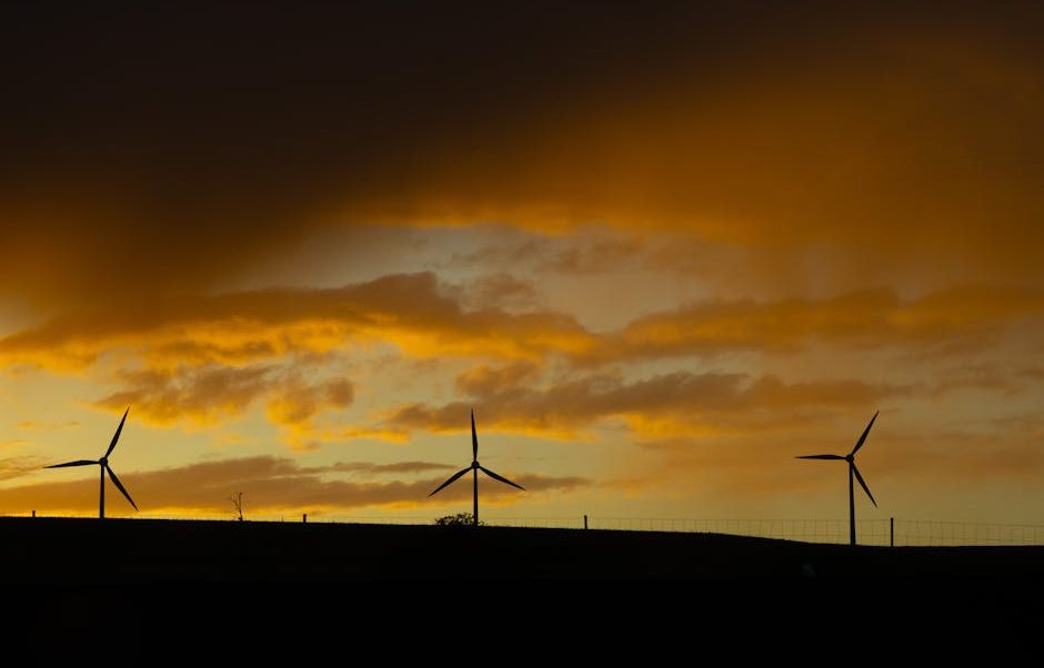 樓宇按揭計算機的權威解析與文化展示